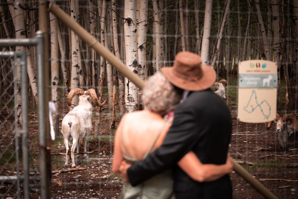 Wedding At The Yukon Wildlife Preserve