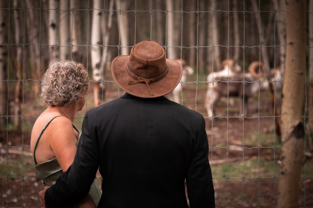 Wedding At The Yukon Wildlife Preserve